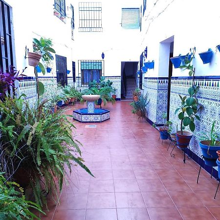 La Casa Del Patio En Pleno San Lorenzo Córdoba Eksteriør bilde